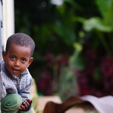 Schulprojekt Schulprojekt