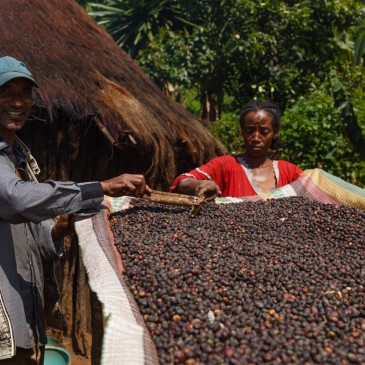 Die Wirtschaft Die Wirtschaft