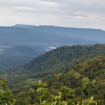 Natur und Ökologie Natur und Ökologie